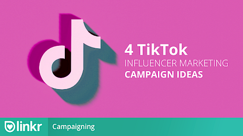 Website Spotlight Vorlage